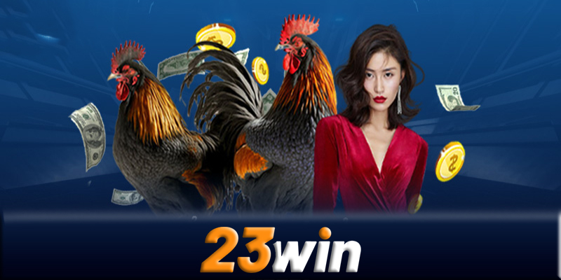 Chiến lược đặt cược trong đá gà 23win