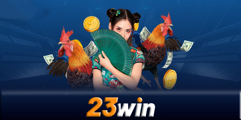 Những lỗi thường gặp khi tham gia đá gà 23win