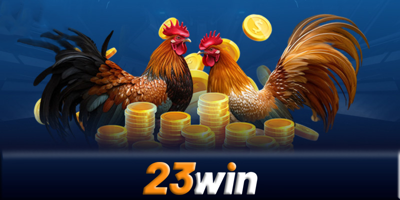 Đá gà 23win - Những mẹo dành chiến thắng với đá gà 23win